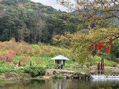 -广州市石门国家森林公园