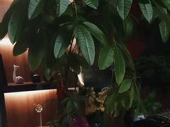 -臻享养生·SPA·影院式足道(汇臻店)