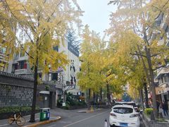 -奎星楼街