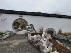 -上海滨江森林公园