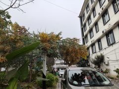 -张鲫鱼家常菜