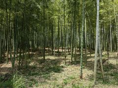 -四明湖