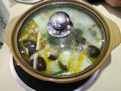 滋补猪肚鸡砂锅-骨味坊·十二年老店(宝业东城广场店)