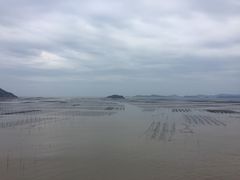 -北岐滩涂
