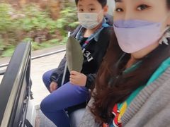 -广东惠东海龟国家级自然保护区
