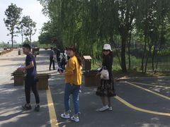 -泗洪洪泽湖湿地景区