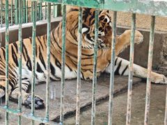 -揭东万竹园旅游景区