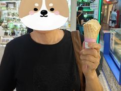 -西琳姑娘·新疆冰淇淋酸奶茶(南开大悦城店)