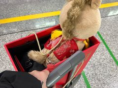 -南宋胡记(杭州河坊街店)