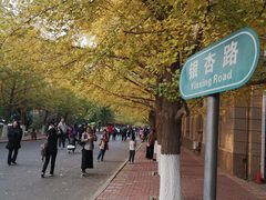 -辽宁大学(崇山校区)