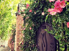 -上海市控江中学