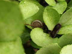 -红黄蓝幼儿园(颐东苑店)