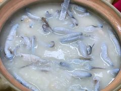 -盛燕泥丁粥