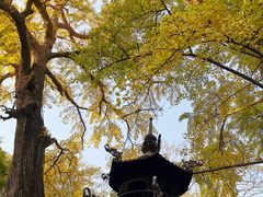 -青岛崂山太清宫
