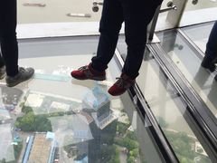 -东方明珠国际旅行社有限公司