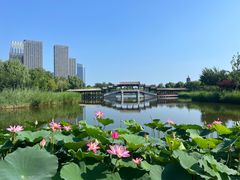 -西海子公园