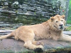 -贵州森林野生动物园