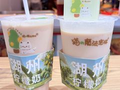 -猫的魔法密林(衣裳街店)