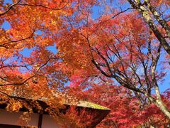 -常寂光寺