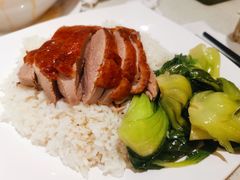 烧鹅饭-香港新发烧腊茶餐厅(书城店)