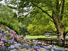 -上海共青森林公园