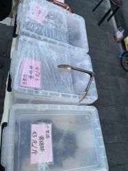 -全聚德烤鸭店·宴会厅(玉泉路店)