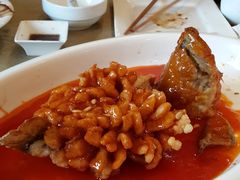 -大鸭梨(天通西苑店)