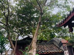 -黄龙溪古镇-古龙寺