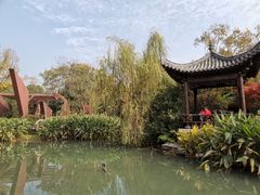 -武汉园博园(武汉自然博物馆)