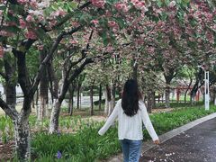 -济南国际园博园