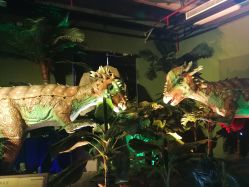 -恐龙探索乐园(磁器口店)