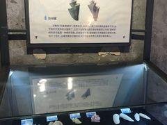 景点-贝壳梦幻世界