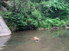 -碓臼峪自然风景区