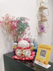 -凡碧诗毛孔收细