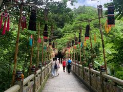 -西双版纳原始森林公园