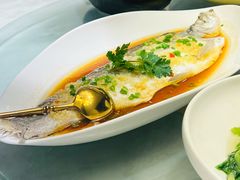 黄椒酱蒸翘嘴鱼-羲和雅苑•北京烤鸭(国贸商城店)