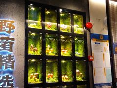 -野·大山里野生菌石锅土鸡(益田假日店)