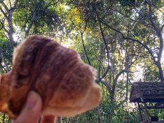-Bamboo Saturday Market(Nana Jungle)