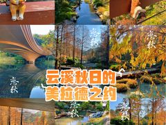 -云溪植物园