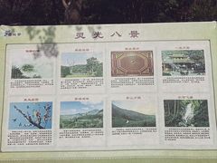 -灵光寺