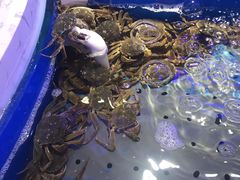 -澜悦港海鲜体验主题餐厅