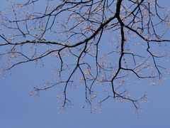 -南京民俗博物馆(甘熙故居)