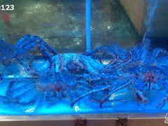 水产区-渔民新村(番禺总店)