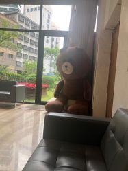 -上海玫瑰医疗美容医院