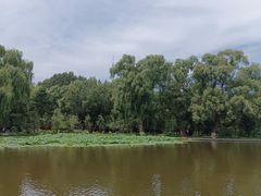 -北陵公园