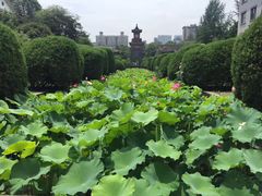 -四川大学(华西校区)