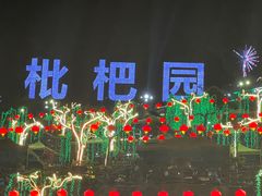-枇杷园食为鲜火锅(南山店)