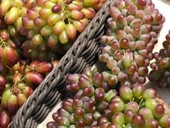 -大润发停车场(闸北店)