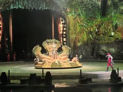 -广州长隆国际大马戏