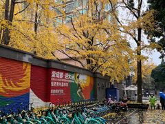 -四川大学(华西校区)